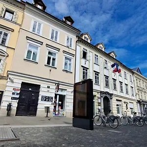 Guest house Viksi 